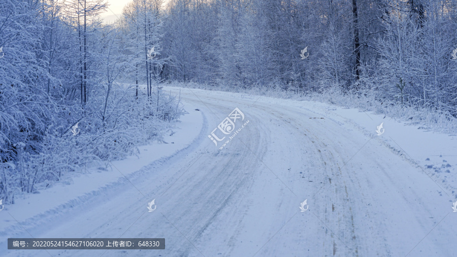 林区冬天雪路风光