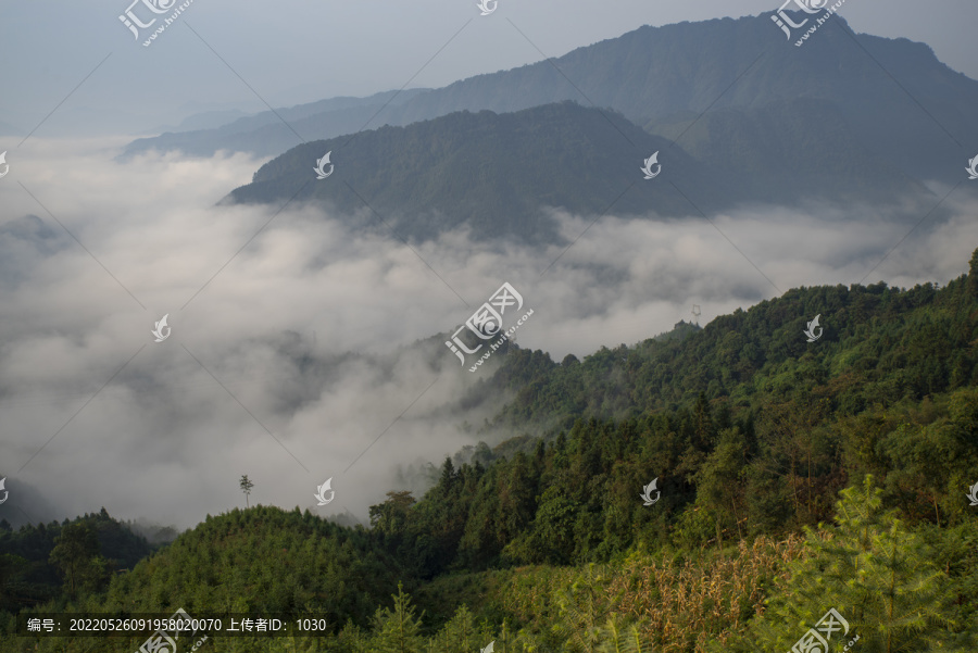 大山云雾雾美丽唯美风景