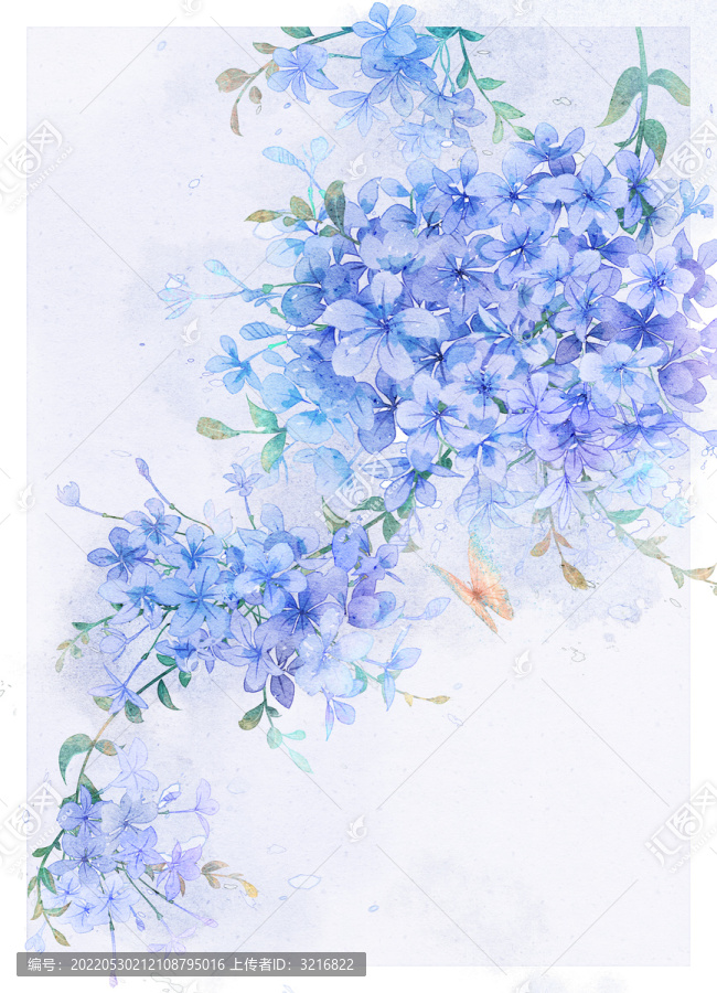 蓝雪花