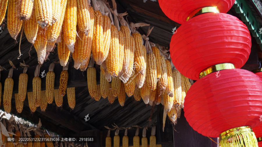 红灯笼装饰景区园区中华民族园