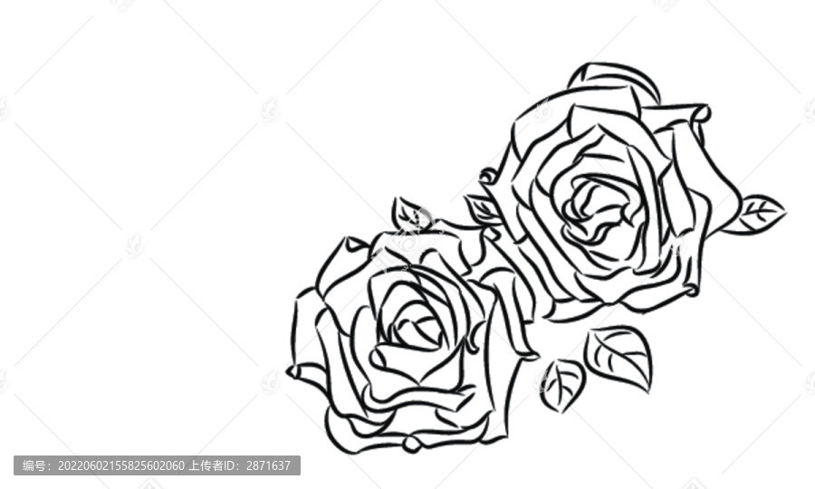 玫瑰花黑白插画