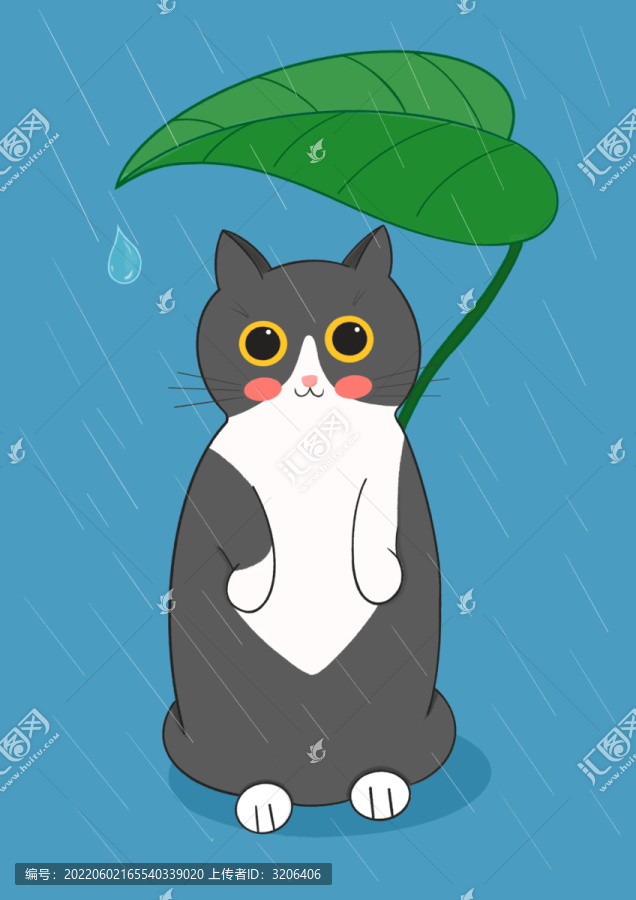 躲雨的猫咪