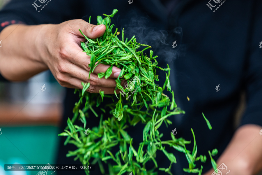 杭州龙井问茶