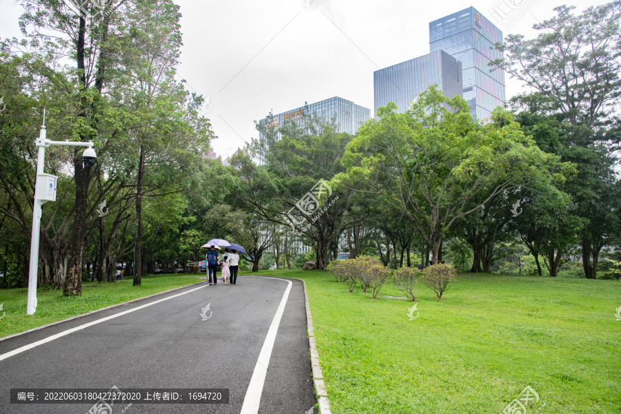 公园里雨中风景