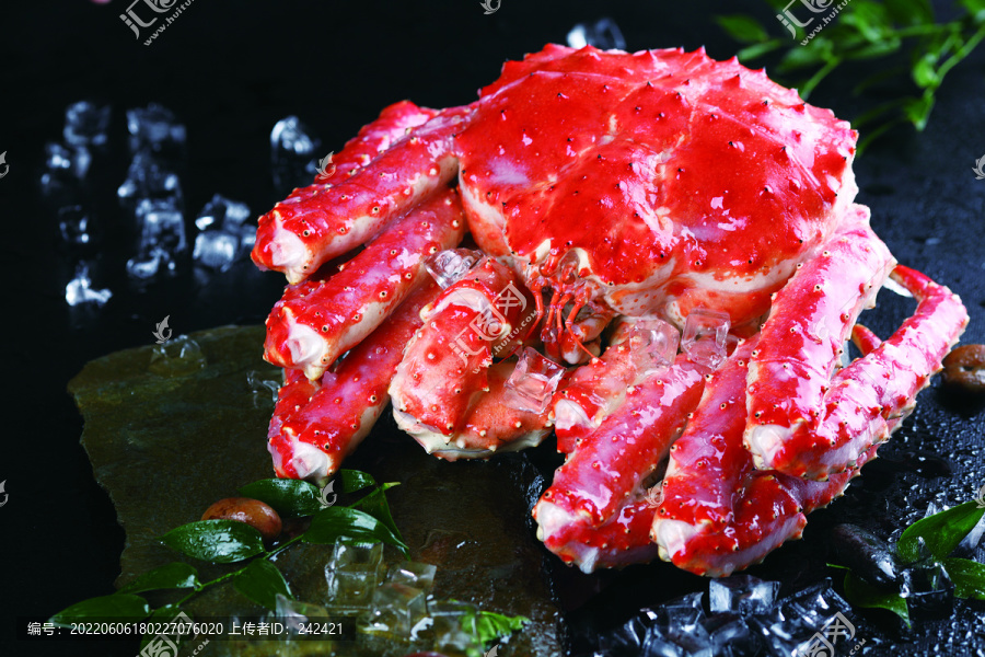海王蟹