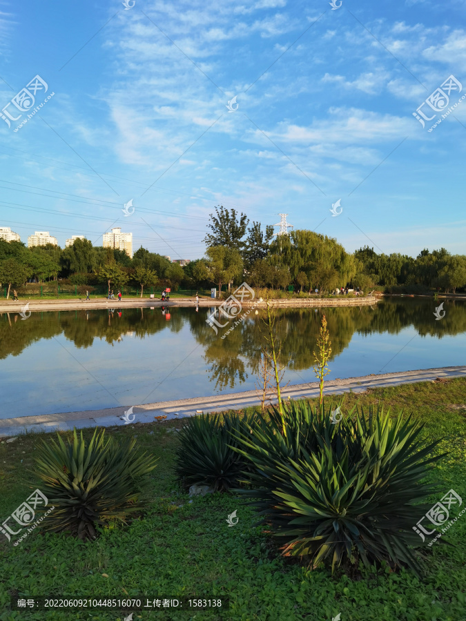 公园湖景