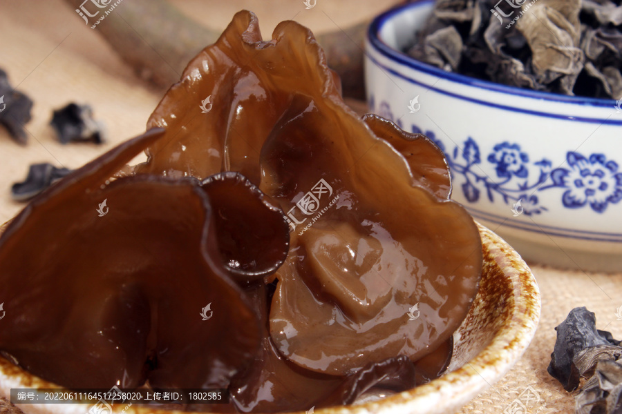 通江野生黑小木耳