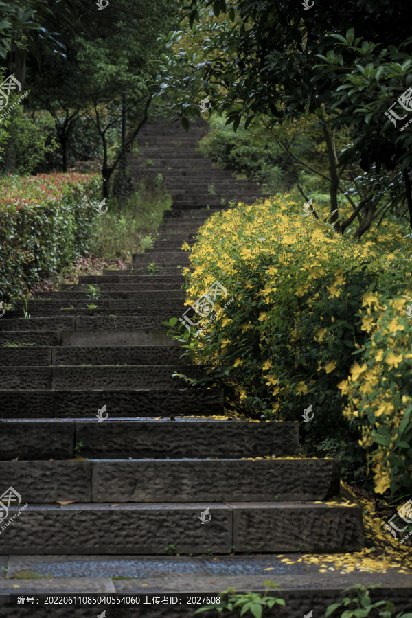 上虞龙山宁静的上山路