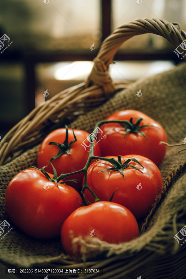 营养丰富的番茄