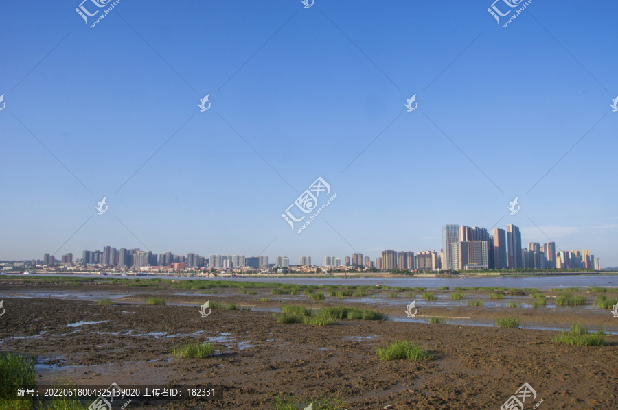 城市天际线河口湿地风情