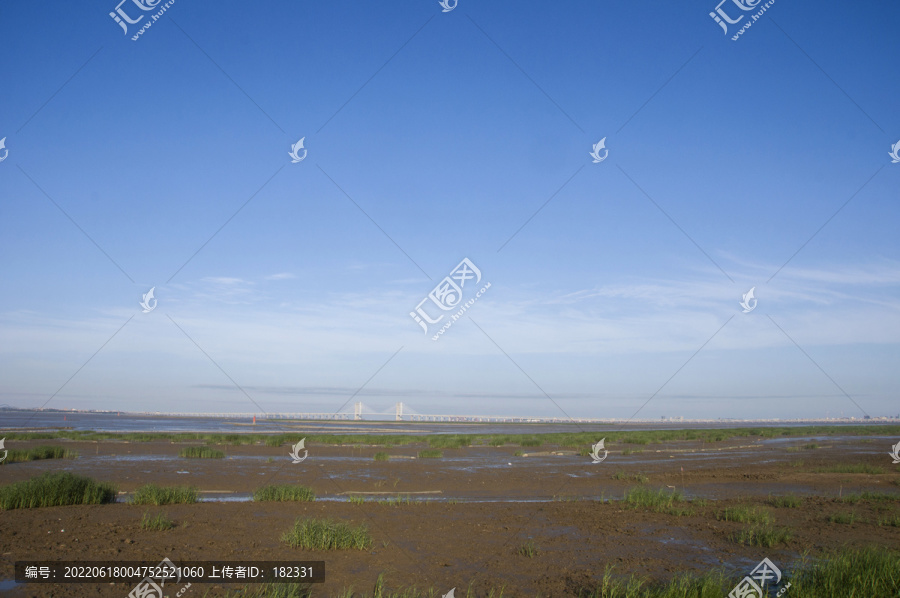 泉州湾晋江河口湿地风景