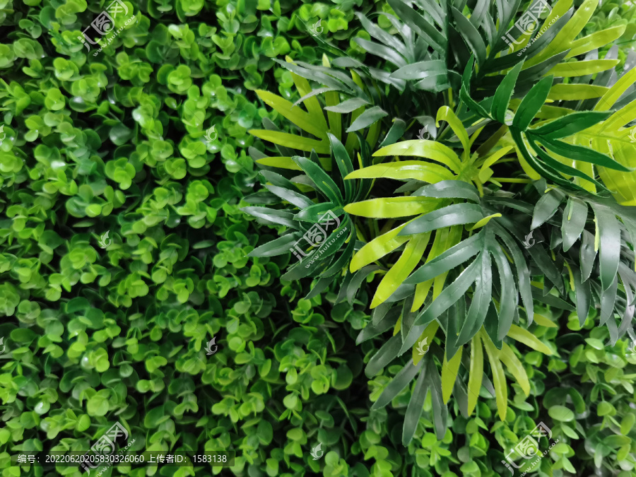 绿植装饰背景墙