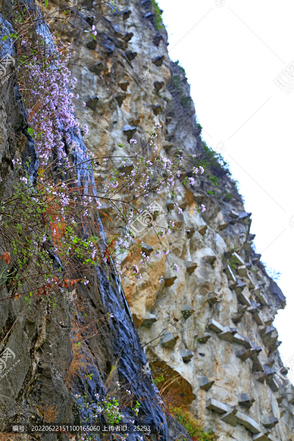 明月峡山花