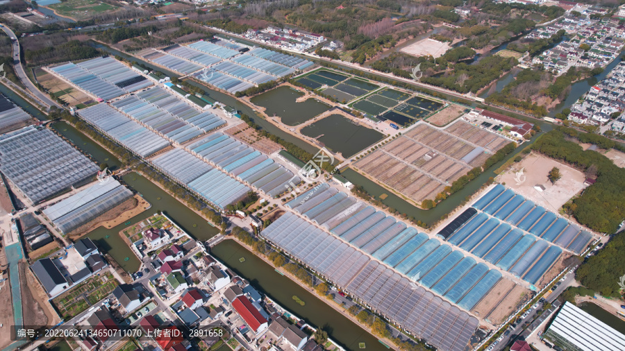 上海孙桥农业产业园