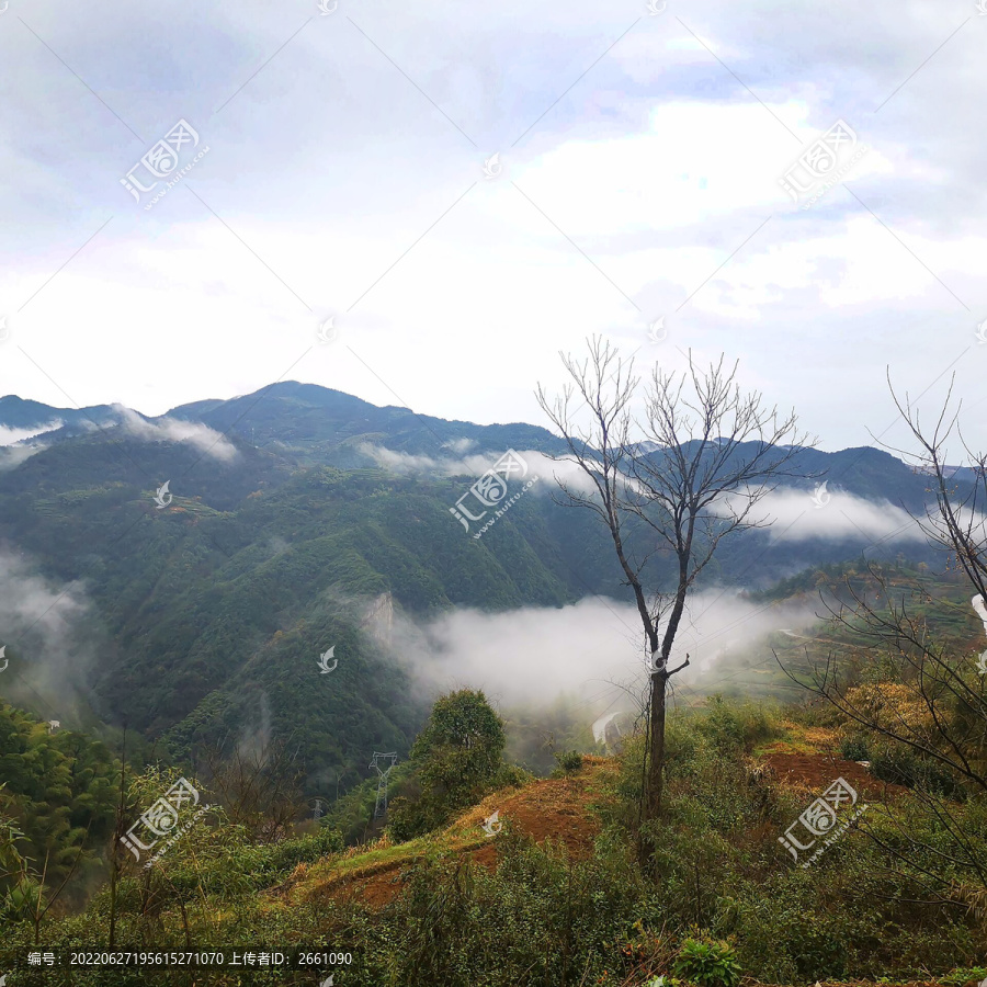 风景荒郊野外