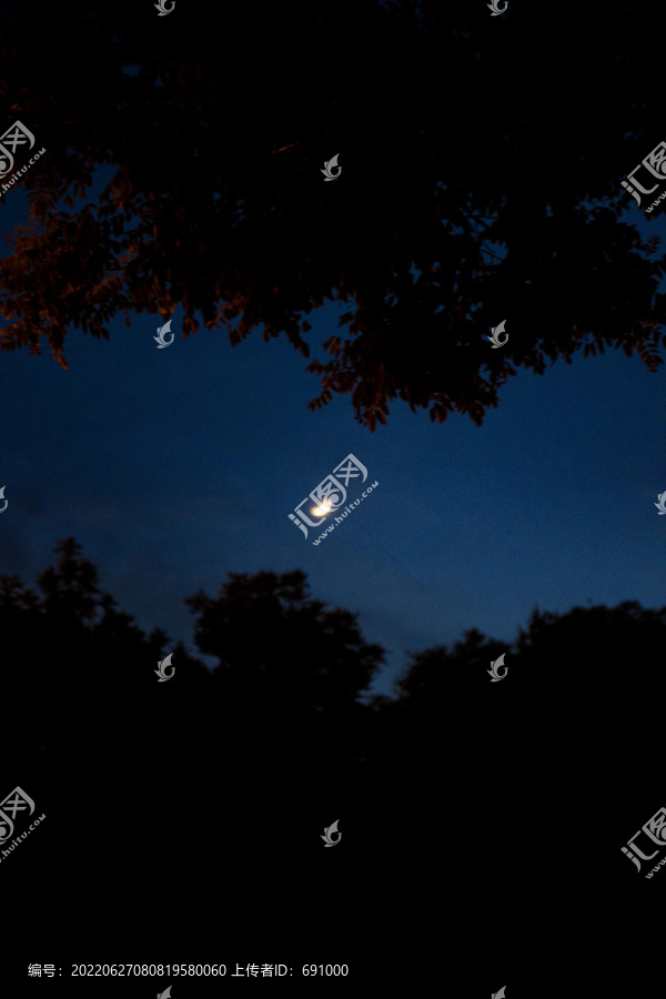 夜晚树树影间的月亮