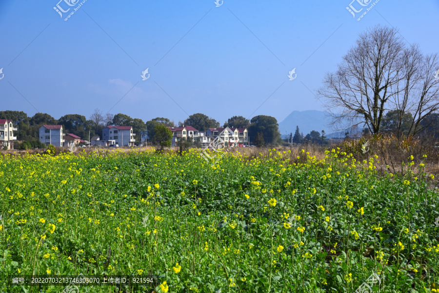 振兴乡村