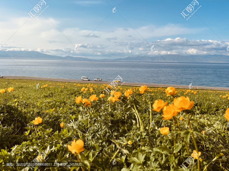 花海草原风景