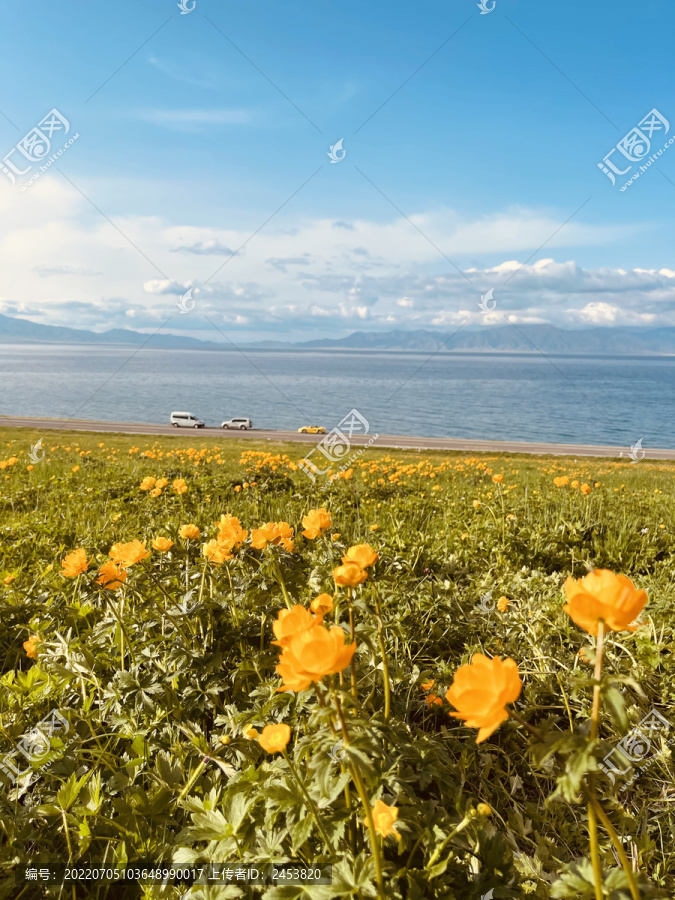 花海草原风景