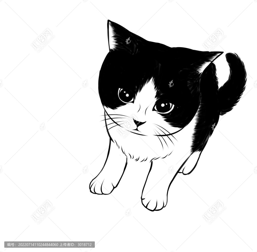 猫萌宠物黑白插画美短