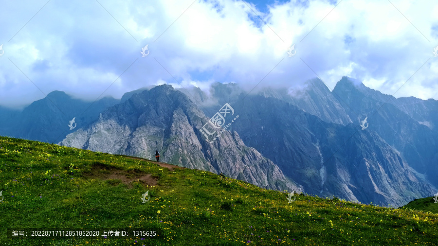 九顶山高山草甸