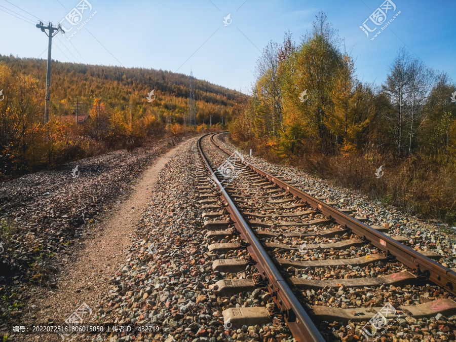 秋季森林铁路铁轨