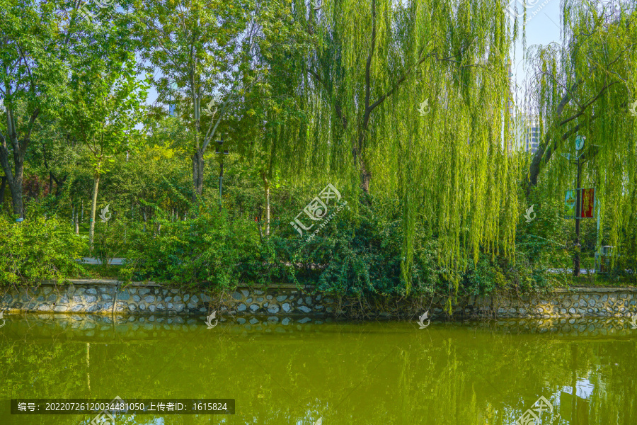 河道景观城市河流绿化