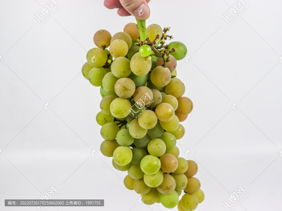 新鲜大葡萄