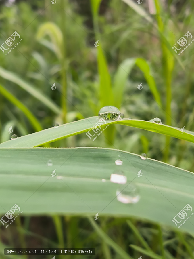 雨滴