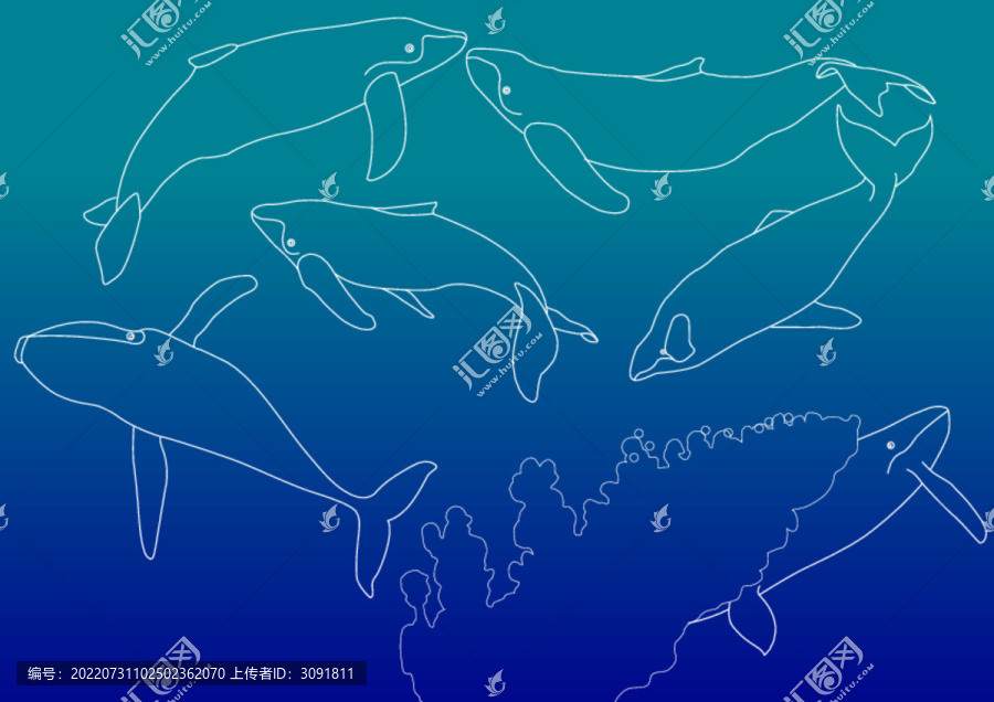 矢量鲸鱼线稿