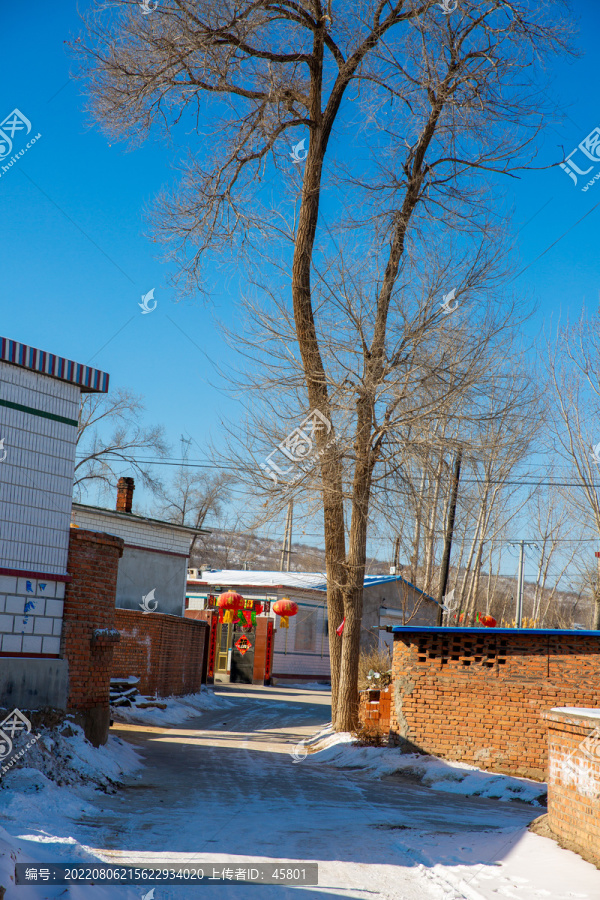 北方冬天农村雪景