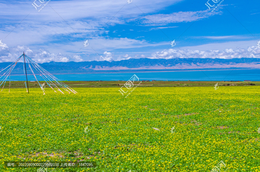 大美青海湖