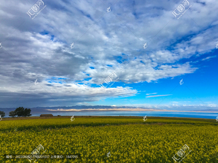 碧蓝青海湖