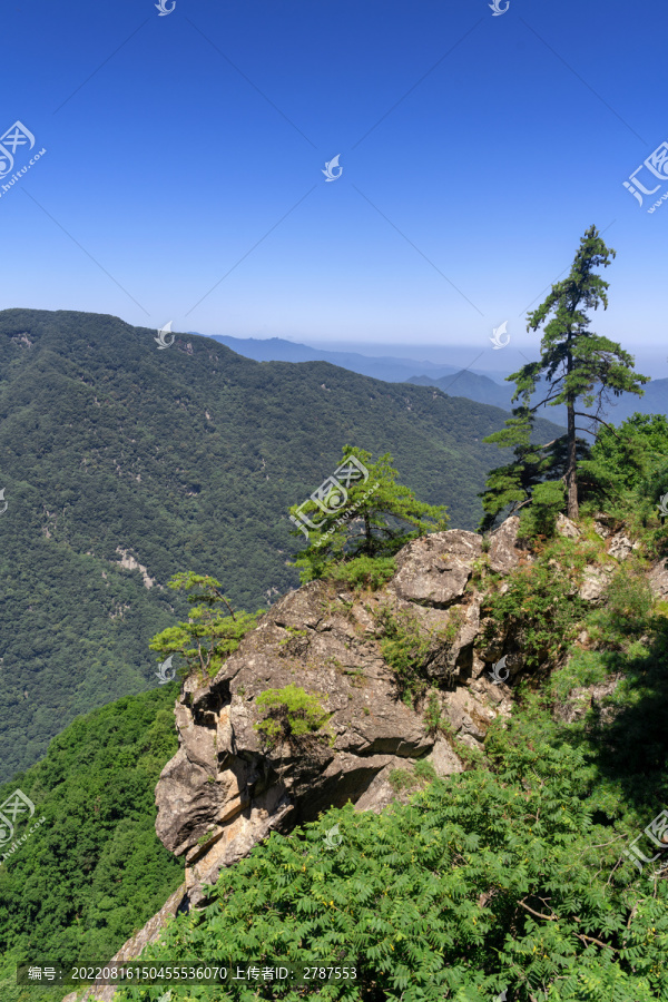 秦岭太白山