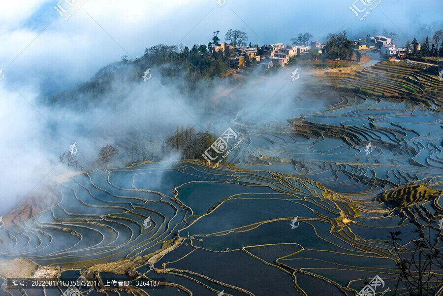 元阳梯田