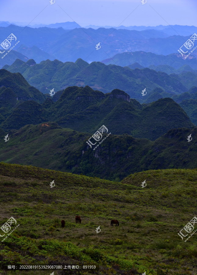 贵州阿西里西大草原风光