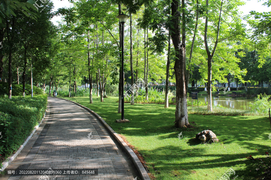 公园绿植健康步道