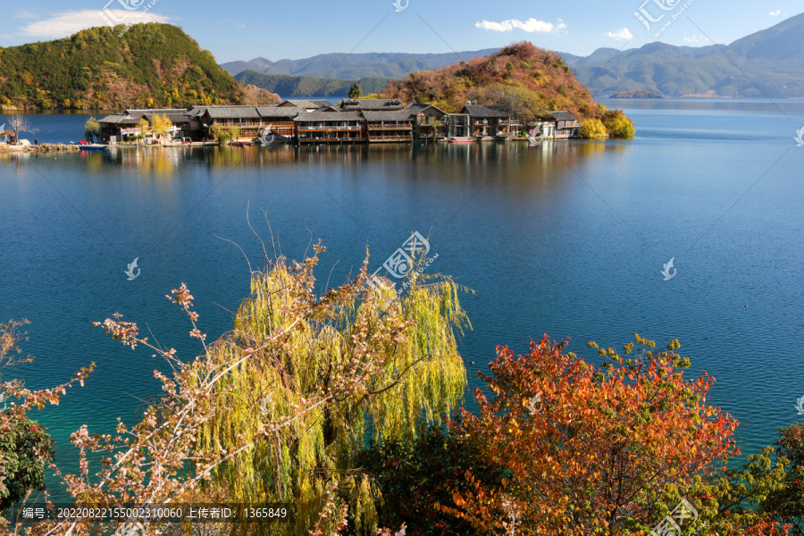 泸沽湖里格半岛秋色