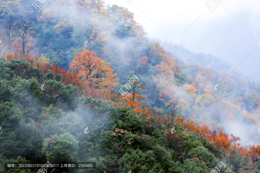 光雾山云雾