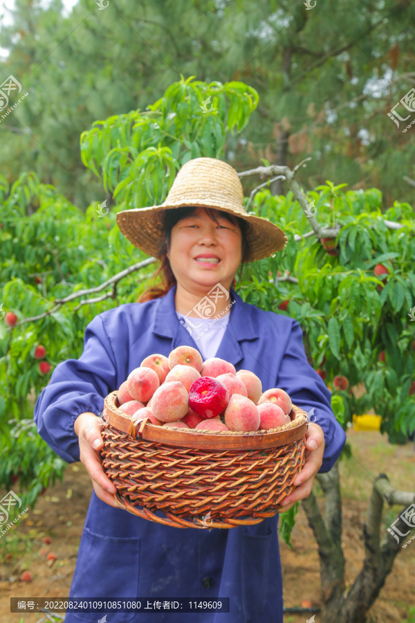 女人手上抱着一筐胭脂红桃子