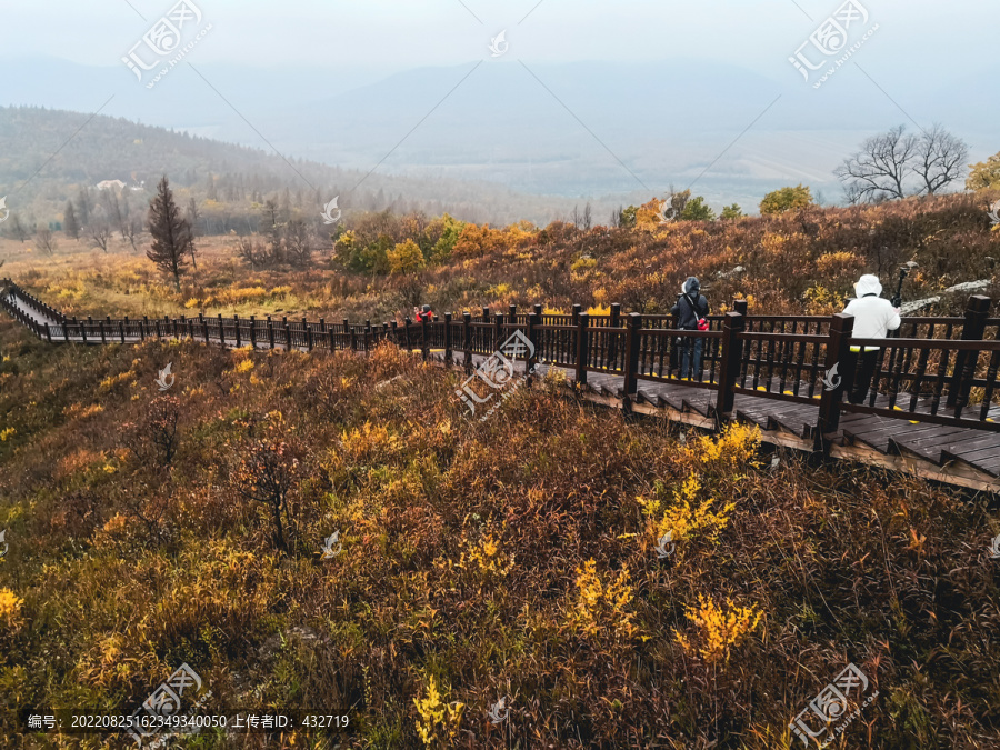 秋季山林木栈道