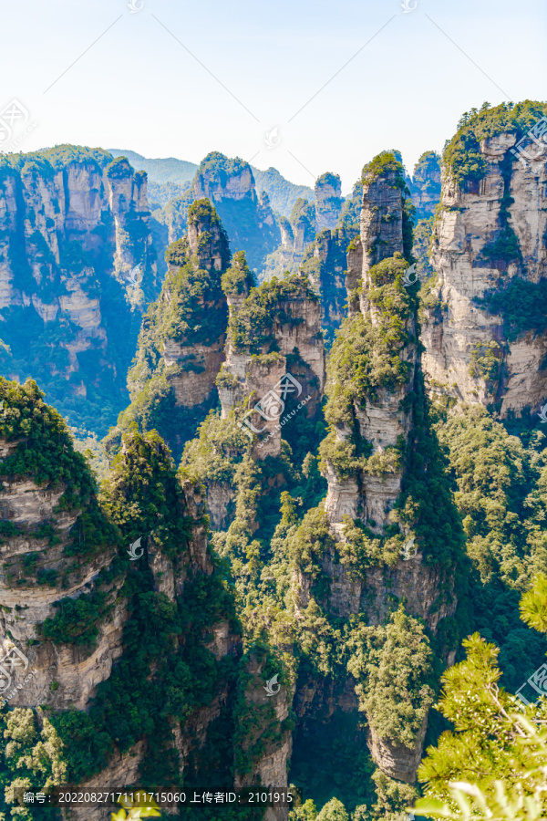 张家界石英砂岩峰林