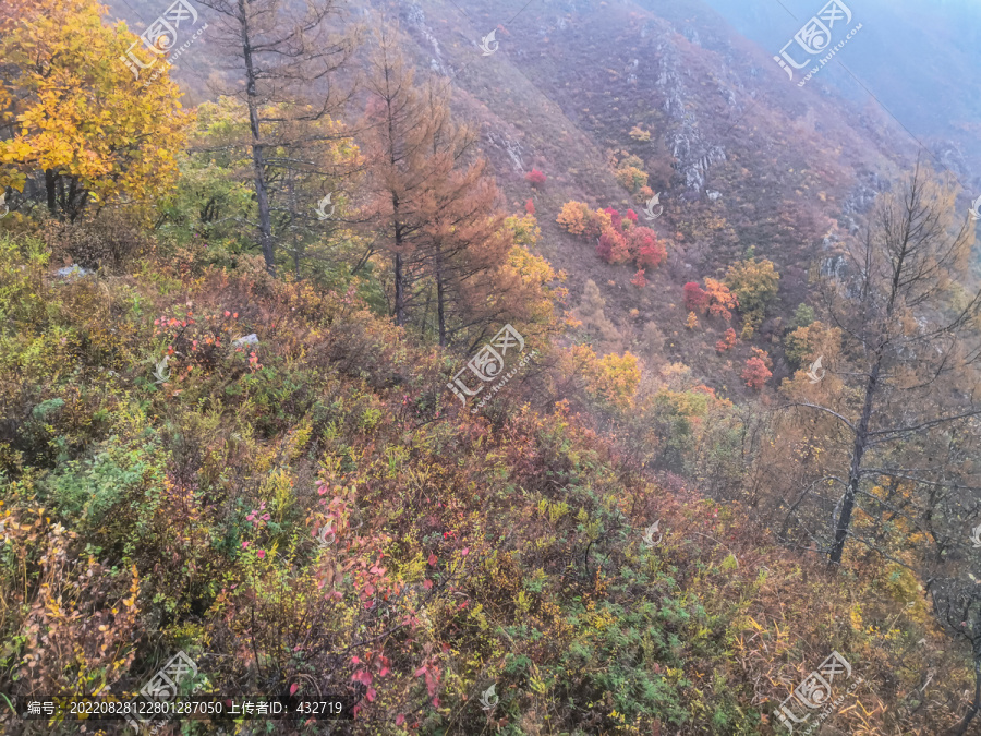 高山岩石秋季树林
