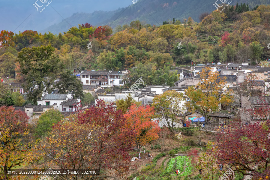 塔川秋色