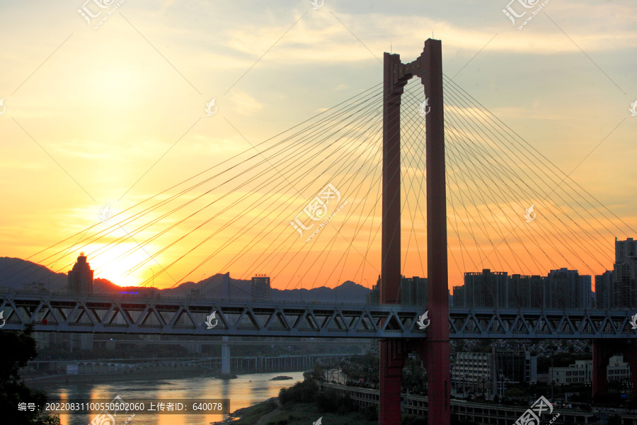 重庆红岩村大桥斜拉桥