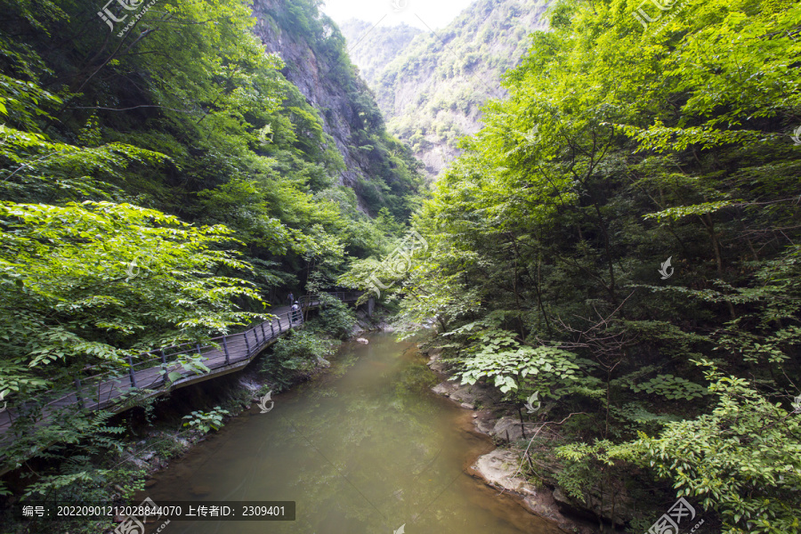 峡谷