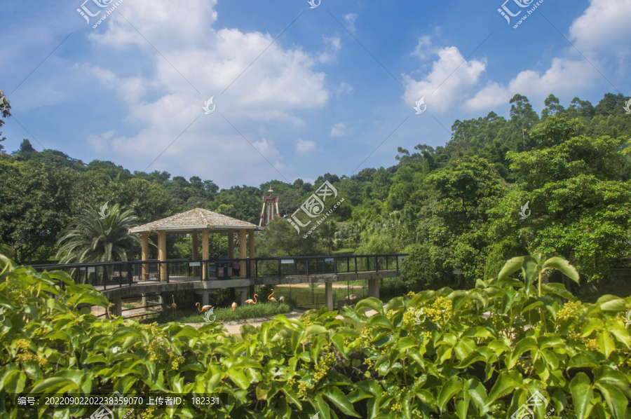 海丝野生动物世界园林风景