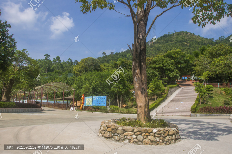 海丝野生动物世界景色