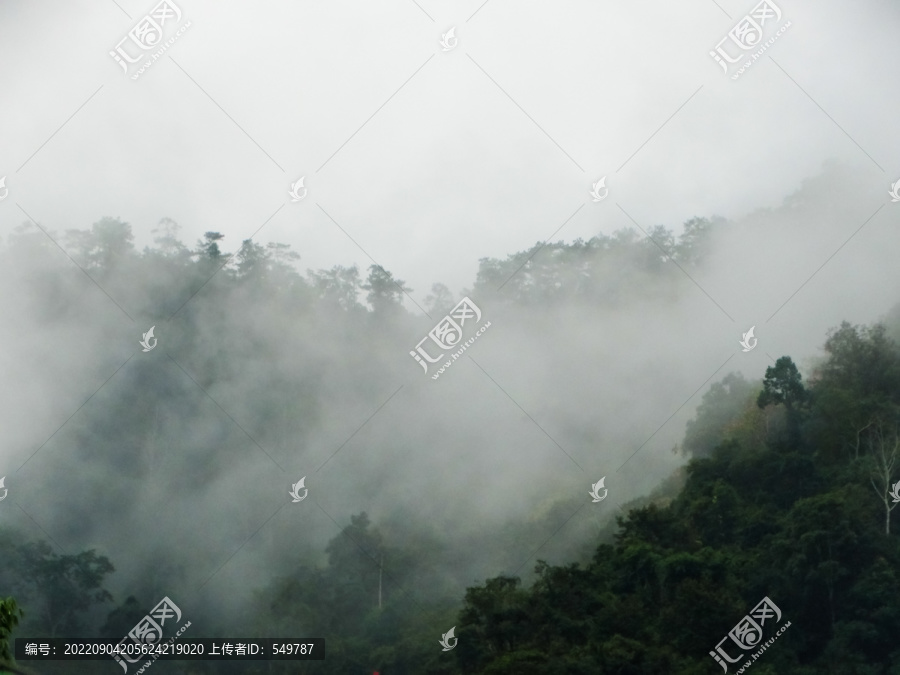 云雾雨林