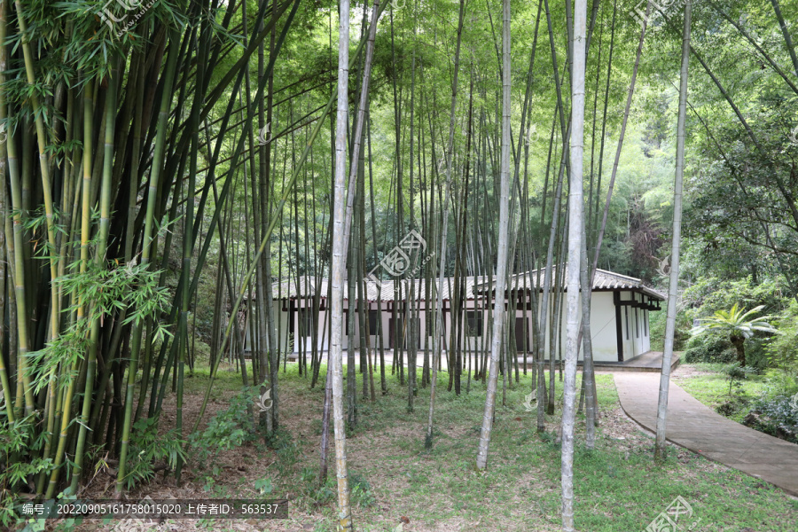 福建武夷山风景区风光